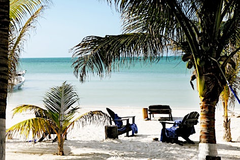 La Palapa